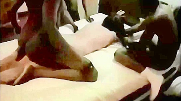 Suruba Amadora em Luanda com Paus Pretos Grandes e Esposa Quente