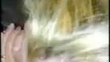 Esposa Interracial Mama o Marido Antes de Ménage com Pau Preto Grande