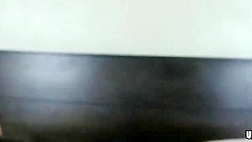 Suruba Interracial com Esposa e Amiga Chupando Pau Preto