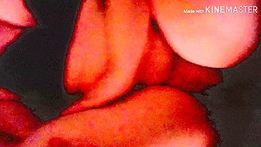 Ménage Amador de Natal com Gangbang de Esposa BBW Safada Swinger