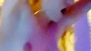 Loira Amadora em Ménage na Véspera de Ano Novo