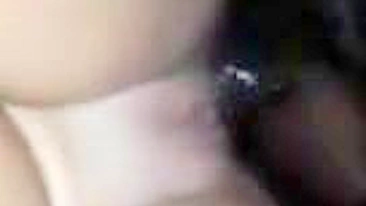 Esposa Amadora em Suruba Interracial com BBC e Marido