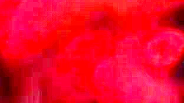 Suruba caseira com espeto e dupla ação safada