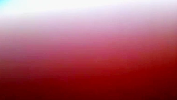 Ménage Amador - Suruba Selvagem em Casa