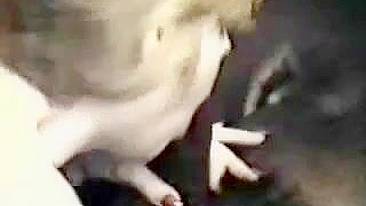 Orgia Interracial de Corno com Esposa MILF e Swing