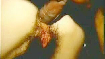 Francesa Amadora em Gangbang com Buceta Peluda e Engolindo Porra