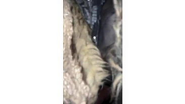 Linda Puta de Rua Filmada Sendo Fodida pelo Cliente