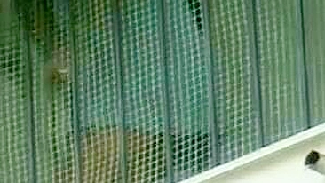 Vídeo Safado de Vizinha de Saia pra Seu Prazer!