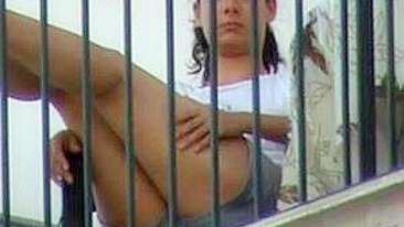 Cachorro Safado Filma Pernas Tentadoras da Vizinha Sedutora