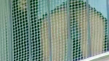 Ei, Dê uma Espiada no Vídeo Upskirt Ousado e Atrevido!